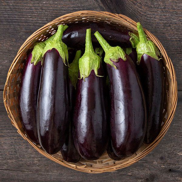 Diamond Eggplant – Greener Thumb Eco Nursery