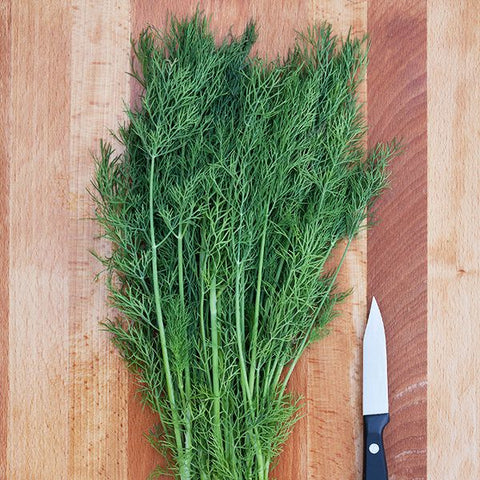Greensleeves Dill
