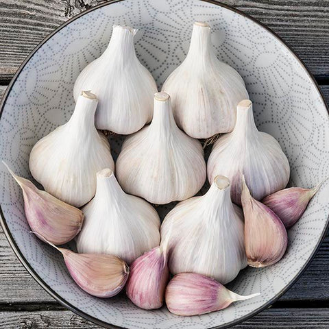 Music Hardneck Porcelain Garlic (Preorder)