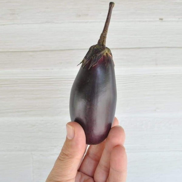 Patio Baby Eggplant (F1 Hybrid)