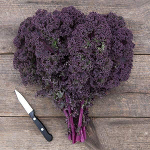 Redbor Kale (F1 Hybrid)