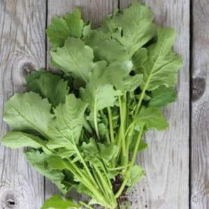 Sessantina Grossa Broccoli Raab