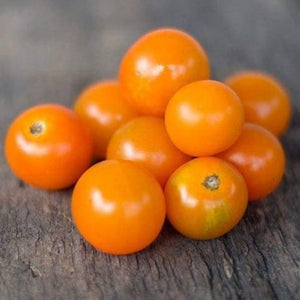 Sungold Tomato (F1 Hybrid)