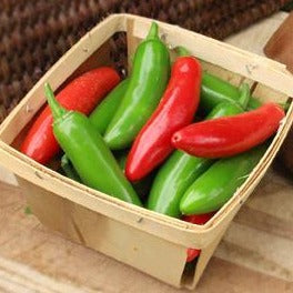 Tampiqueño Serrano Pepper
